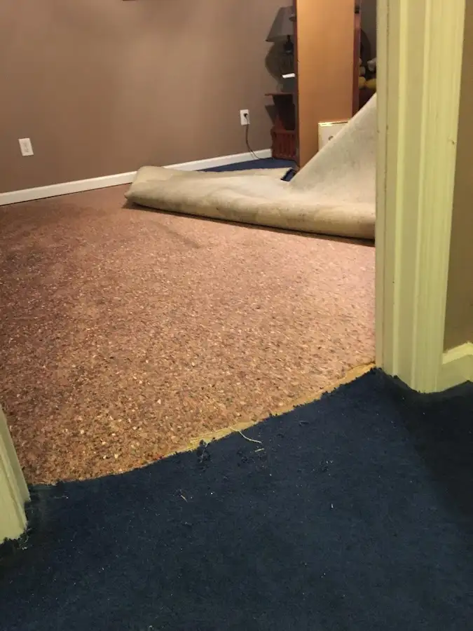 Carpet pad removal revealing water damage during Drying & Dehumidification in Wauseon