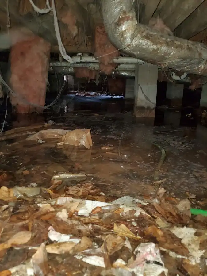 Crawl space flood assessment for Leak Detection & Repair in Wauseon